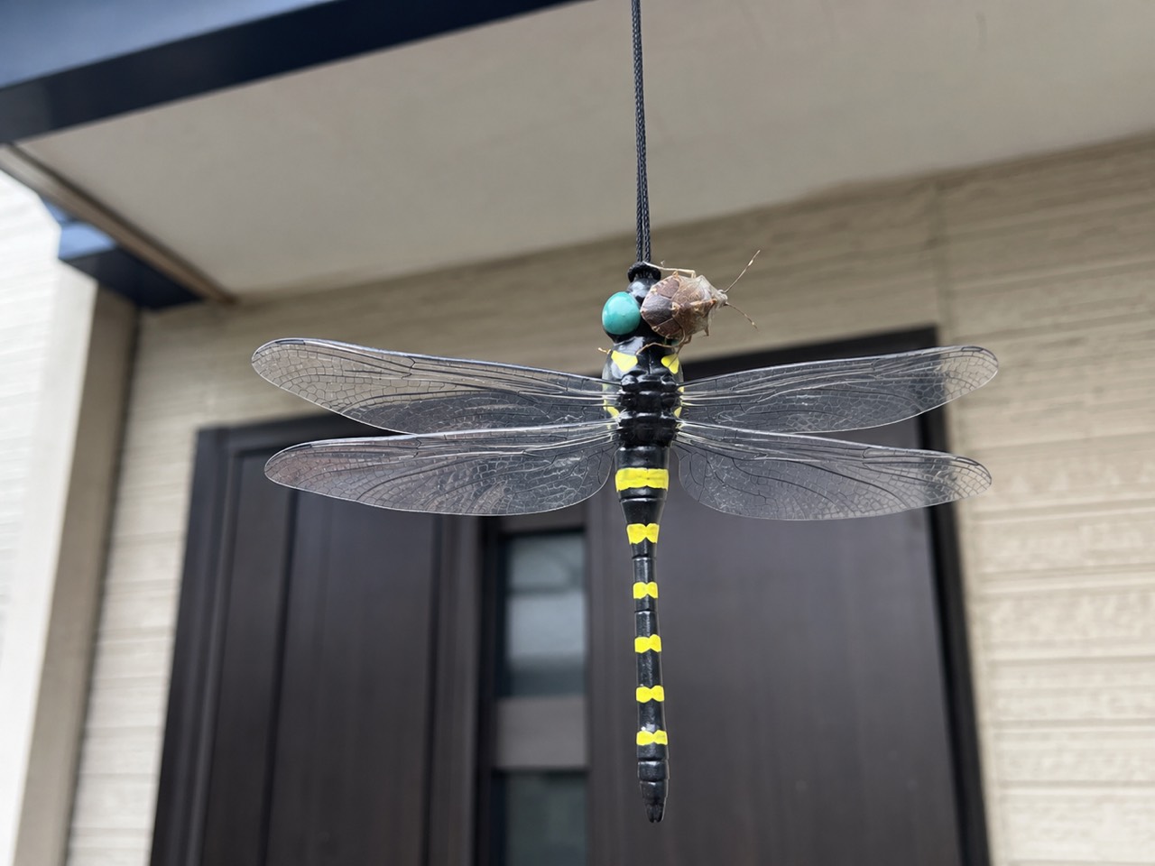 おにやんま君の頭にカメムシが止まっている再現イメージ