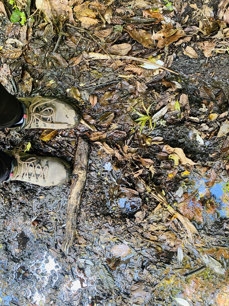 ぬかるんだ登山道に立つ登山靴の足元