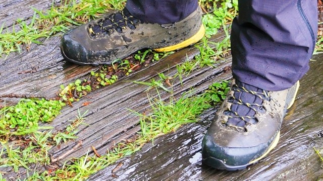 雨の木道を歩くレインパンツ姿の足元