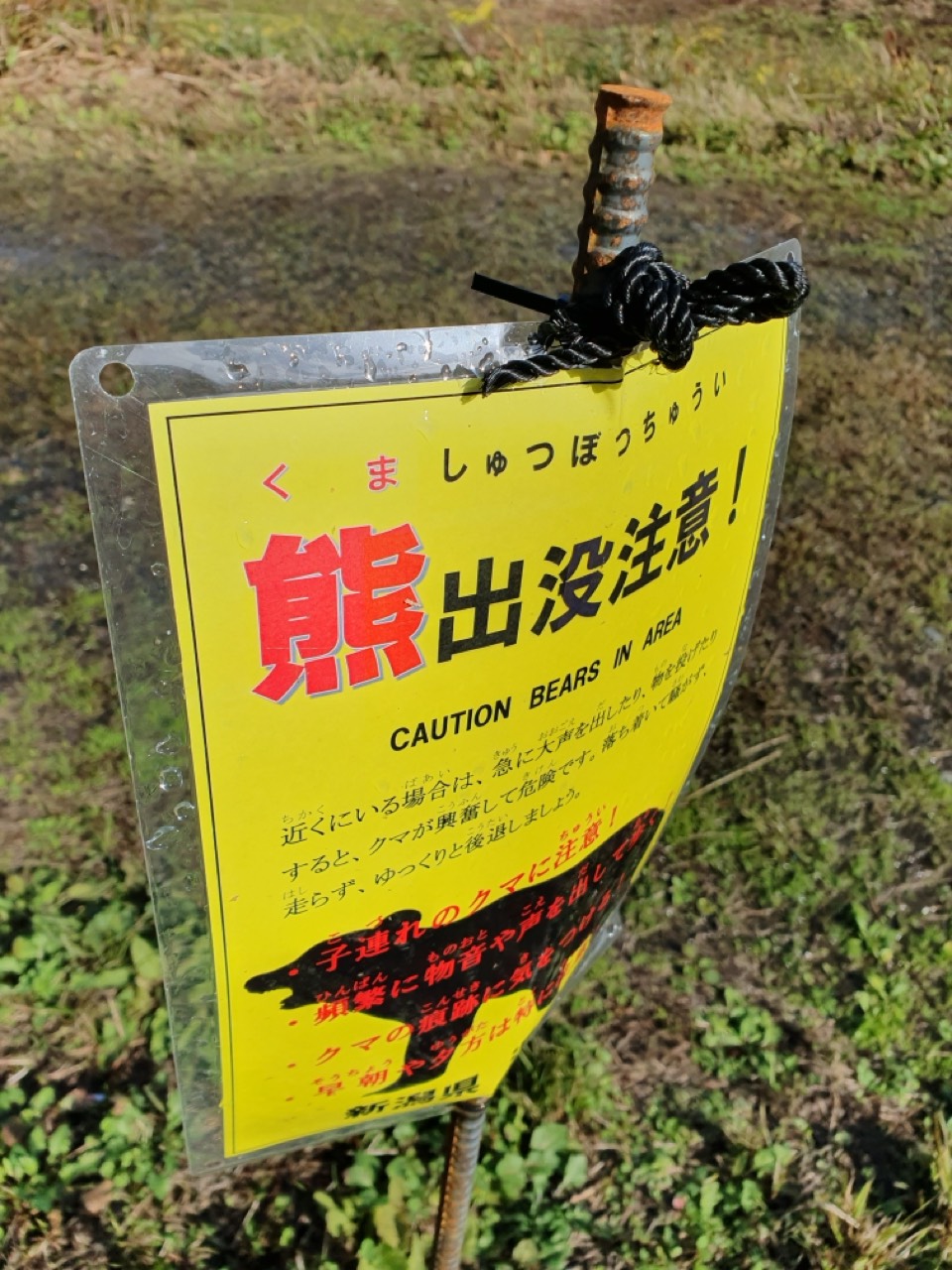 「熊出没注意」と書かれた黄色い看板